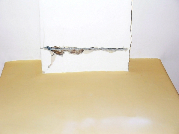 ekspertyzy budowlane